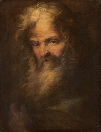 Prophète barbu - Salvator Rosa